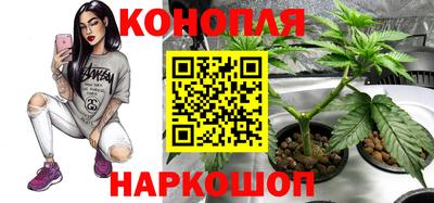 шишки Гусь-Хрустальный