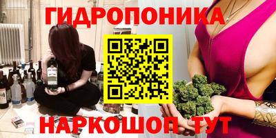 спайс Гусев