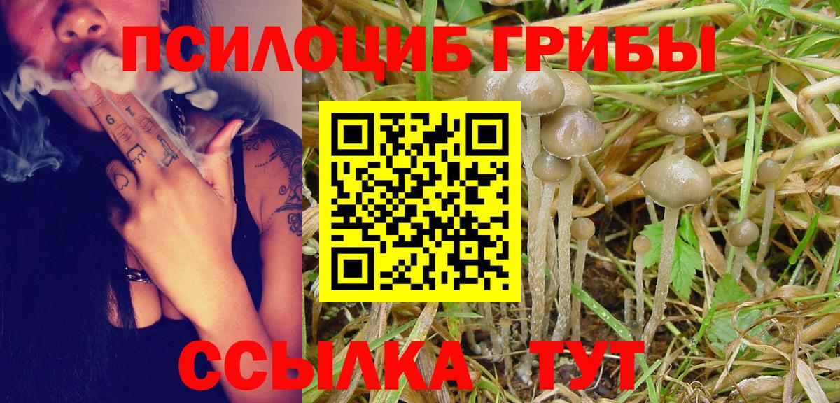 Псилоцибиновые грибы MAGIC MUSHROOMS Новоуральск
